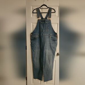 Universal Thread Women's Light Blue Denim Overalls